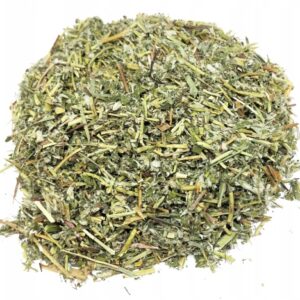 POTENTILLA ANSERINA – PLANTĂ MEDICINALĂ TĂIATĂ (POTENTILLA ANSERINA HERBA) 1 KG 100% NATURALĂ – CEAI PENTRU DIGESTIE, FICAT ȘI EFECT ANTIINFLAMATOR
