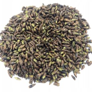 BOBOCI DE MESTEACĂN (BETULA PENDULA) – 500 G, 100% NATURAL – PROPRIETĂȚI DETOXIFIANTE ȘI REGENERANTE