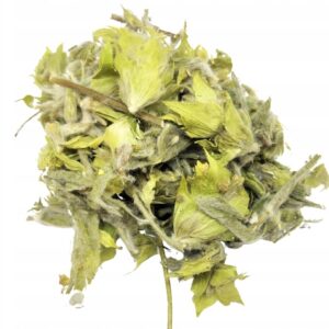 PLANTĂ DE GOJNIK TĂIATĂ – CEAI MURSAL (SIDERITIS SCARDICA HERBA) 100% NATURALĂ 1 KG – ENERGIE, IMUNITATE ȘI LONGEVITATE