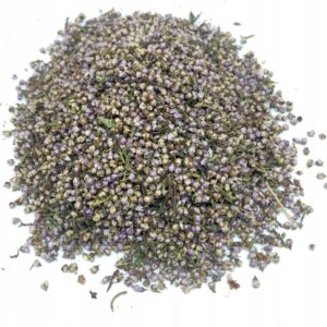 FLORI DE IARBĂ NEAGRĂ (CALLUNA VULGARIS / ERICA) – 200 G, 100% NATURAL – DETOXIFIERE ȘI SĂNĂTATE URINARĂ