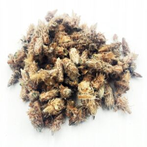 PIN (BOBOCI ÎNTREGI) – 1 KG, 100% NATURAL – SUSȚINERE PENTRU RESPIRAȚIE ȘI IMUNITATE