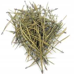 ACE DE PIN (PINUS SYLVESTRIS) – 500 G, 100% NATURALE – CEAI TONIC PENTRU RESPIRAȚIE ȘI IMUNITATE