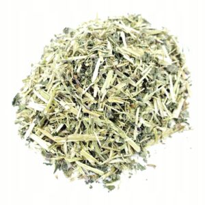 FRUNZE DE FENICUL (FOENICULUM VULGARE FOLIUM) 100% NATURALE 1 KG – SPRIJIN PENTRU DIGESTIE ȘI RESPIRAȚIE