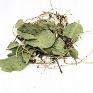 PLANTĂ MEDICINALĂ PYROLA (PYROLAE HERBA) 100% NATURALĂ 200 G – SUSȚINERE PENTRU RINICHI, IMUNITATE ȘI VITALITATE