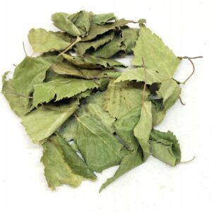 MESTEACĂN (FRUNZĂ ÎNTREAGĂ) – 500 G, 100% NATURALĂ – SUSȚINERE PENTRU DETOXIFIERE ȘI IMUNITATE