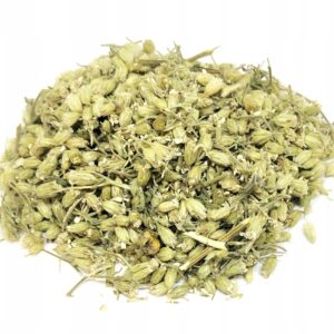 FLORI DE COADA-ȘORICELULUI (ACHILLEA MILLEFOLIUM) – 1 KG, 100% NATURAL – ECHILIBRU DIGESTIV, IMUNITAR ȘI FEMININ