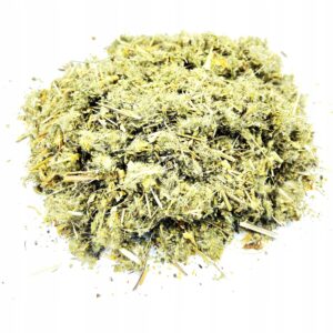 TRAGANAC – PLANTĂ (ASTRAGALUS MEMBRANACEUS) 100% NATURALĂ 500 G – SUSȚINERE PENTRU IMUNITATE ȘI ENERGIE