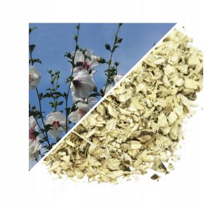 NALBĂ (RĂDĂCINĂ TĂIATĂ) – 200 G, 100% NATURALĂ – SUSȚINERE PENTRU GÂT, DIGESTIE ȘI IMUNITATE