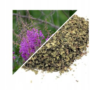 SALCIE (IWAN CZAJ) FRUNZE 200 G – 100% NATURAL – SUSȚINERE PENTRU RELAXARE ȘI IMUNITATE