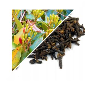 CUIȘOARE USCATE (SYZYGIUM AROMATICUM) – 200 G, 100% NATURAL – AROMĂ INTENSĂ ȘI SPRIJIN PENTRU DIGESTIE