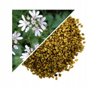 SEMINȚE DE SCHINDUF (TRIGONELLA FOENUM-GRAECUM) – 200 G, 100% NATURALE – STIMULEAZĂ POFTA DE MÂNCARE ȘI ECHILIBRUL METABOLIC