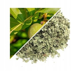 NUC (FRUNZĂ) 50 G – 100% NATURALĂ – SUSȚINERE PENTRU DIGESTIE ȘI DETOXIFIERE