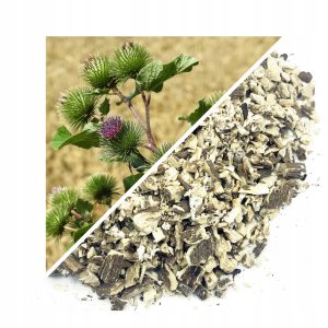 BRUSTURE (RĂDĂCINĂ USCATĂ) – 200 G, 100% NATURALĂ – SUSȚINERE PENTRU DETOXIFIERE ȘI SĂNĂTATEA PIELII