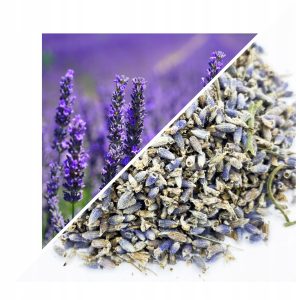 LAVANDĂ (FLOARE) 1 KG – 100% NATURALĂ – SUSȚINERE PENTRU RELAXARE ȘI SOMN LINIȘTIT