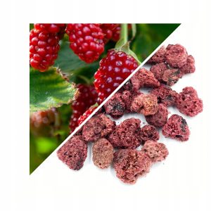 ZMEURĂ (FRUCTUL ZMEURII) ÎNTREG 500 G – 100% NATURALĂ – SUSȚINERE PENTRU IMUNITATE ȘI VITALITATE