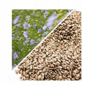 SEMINȚE DE IN (LINUM USITATISSIMUM) – 500 G, 100% NATURALE – SUSȚIN SĂNĂTATEA DIGESTIVĂ ȘI ECHILIBRUL HORMONAL