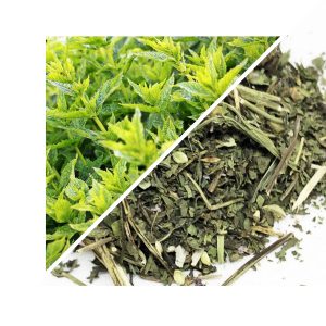 FRUNZĂ DE MENTĂ PIPERATĂ 1 KG – 100% NATURALĂ – SUSȚINERE PENTRU DIGESTIE ȘI RESPIRAȚIE