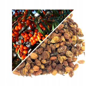 FRUCT DE CĂTINĂ 200 G – 100% NATURAL – SUSȚINERE PENTRU IMUNITATE ȘI VITALITATE