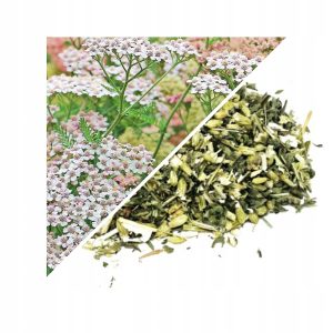 PLANTA DE COADA ȘORICELULUI 200 G – 100% NATURALĂ – SUSȚINERE PENTRU DIGESTIE ȘI ECHILIBRU FEMININ