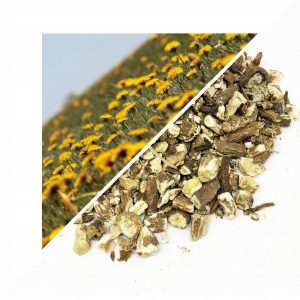 PĂPĂDIE (RĂDĂCINĂ TĂIATĂ) – 1 KG, 100% NATURALĂ – SUSȚINERE PENTRU FICAT, DETOXIFIERE ȘI DIGESTIE
