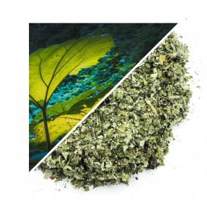 PODBAL (FRUNZĂ TĂIATĂ) 500 G – 100% NATURALĂ – SUSȚINERE PENTRU RESPIRAȚIE ȘI IMUNITATE