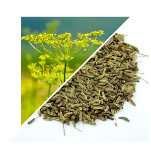 FRUCT DE FENICUL ITALIAN 200 G – 100% NATURAL – SUSȚINERE PENTRU DIGESTIE ȘI RESPIRAȚIE
