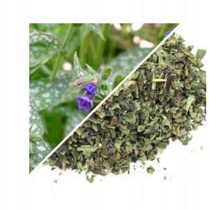 PULMONARIA (PLANTA MEDICINALĂ) TĂIATĂ 500 G – 100% NATURALĂ – SUSȚINERE PENTRU RESPIRAȚIE ȘI IMUNITATE