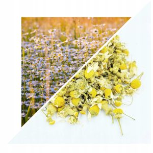 FLOARE DE MUȘEȚEL COMUN PREMIUM 50 G – 100% NATURALĂ – SUSȚINERE PENTRU DIGESTIE ȘI RELAXARE