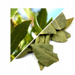 DAFIN (FRUNZĂ ÎNTREAGĂ) – 200 G, 100% NATURALĂ – SUSȚINERE PENTRU DIGESTIE ȘI IMUNITATE