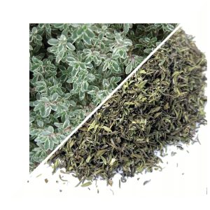 CIMBRU 50 G – 100% NATURAL – SUSȚINERE PENTRU DIGESTIE ȘI IMUNITATE