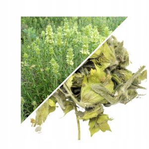 PLANTA DE GOJNIK (CEAI MURSAL) TĂIATĂ 200 G – 100% NATURALĂ – SUSȚINERE PENTRU IMUNITATE ȘI VITALITATE