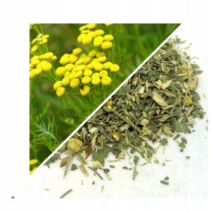 TANACETUM (PLANTĂ MEDICINALĂ) 500 G – 100% NATURALĂ – SUSȚINERE PENTRU DIGESTIE ȘI ECHILIBRU GENERAL
