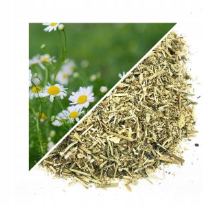 MUȘEȚEL TĂIAT 500 G – 100% NATURAL – SUSȚINERE PENTRU DIGESTIE ȘI RELAXARE