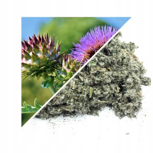 ANGHINARE (FRUNZE) 1 KG – 100% NATURALĂ – SUSȚINERE PENTRU FICAT ȘI DIGESTIE