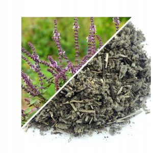 SALVIE MEDICINALĂ 50 G – 100% NATURALĂ – SUSȚINERE PENTRU DIGESTIE ȘI IMUNITATE