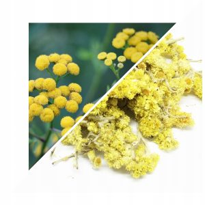 HELICHRYSUM (FLOARE ÎNTREAGĂ) 200 G – 100% NATURALĂ – SUSȚINERE PENTRU PIELE ȘI RESPIRAȚIE
