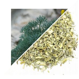 PELIN (PLANTA ÎNTREAGĂ) 50 G – 100% NATURAL – SUSȚINERE PENTRU DIGESTIE ȘI DETOXIFIERE