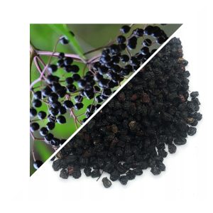 FRUCT DE SOC USCATE ÎNTREGI 200 G – 100% NATURAL – SUSȚINERE PENTRU IMUNITATE ȘI RESPIRAȚIE