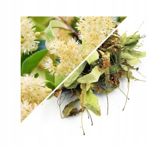 FLOARE DE TEI ÎNTREAGĂ 1 KG – 100% NATURALĂ – SUSȚINERE PENTRU RELAXARE ȘI SOMN LINIȘTIT