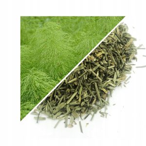 COADA-CALEI (IARBĂ TĂIATĂ) 200 G – 100% NATURALĂ – SUSȚINERE PENTRU RINICHI ȘI ARTICULAȚII