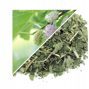 FRUNZĂ DE DUD ALB (DUD TĂIAT) 1 KG – 100% NATURALĂ – SUSȚINERE PENTRU DIGESTIE ȘI IMUNITATE