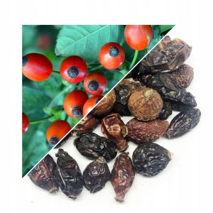 FRUCT DE MĂCEȘ USCATE 50 G – 100% NATURAL – SUSȚINERE PENTRU IMUNITATE ȘI VITALITATE