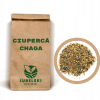 CIUPERCĂ CHAGA (CZAGA) 1 KG – 100% NATURALĂ – SUSȚINERE PENTRU IMUNITATE ȘI VITALITATE