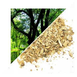 SCOARȚĂ DE SALCIE ÎNTREAGĂ (SALIX ALBA) – 1 KG, 100% NATURALĂ – EFECT ANTIINFLAMATOR ȘI CALMANT NATURAL