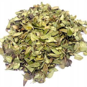 FRUNZĂ DE URSINĂ MEDICINALĂ (ARCTOSTAPHYLOS UVA-URSI FOLIUM) 100% NATURALĂ 50 G – SPRIJIN PENTRU RINICHI ȘI TRACTUL URINAR