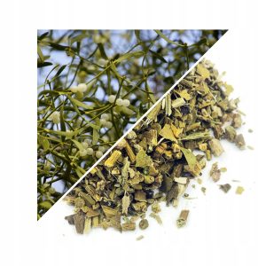VISCA (HERBA INTEGRALĂ) 1 KG – 100% NATURALĂ – SUSȚINERE PENTRU CIRCULAȚIE ȘI IMUNITATE