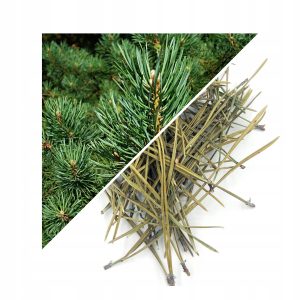 ACE DE PIN (PINUS) 100% NATURALE 500 G – SUSȚINERE PENTRU RESPIRAȚIE ȘI IMUNITATE