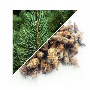 PIN (BOBOCI ÎNTREGI) – 500 G, 100% NATURAL – SUSȚINERE PENTRU RESPIRAȚIE ȘI IMUNITATE