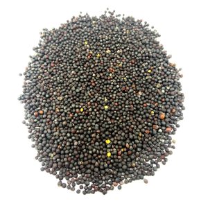 RAPIȚĂ (SEMINȚE) – 1 KG, 100% NATURALĂ – SURSA DE ENERGIE, PROTEINE ȘI GRĂSIMI SĂNĂTOASE