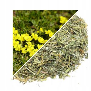 IARBĂ DE ARGINT (GNAPHALIUM SILVATICUM) – 1 KG, 100% NATURALĂ – SUSȚINERE PENTRU RESPIRAȚIE ȘI ARTICULAȚII